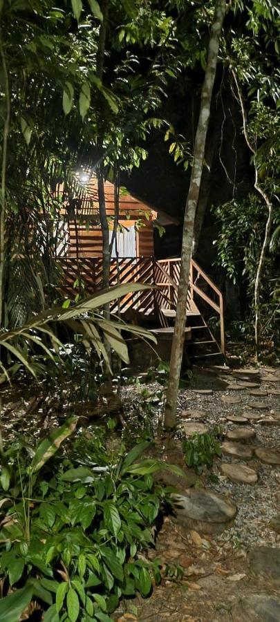 Refugio Samauma Ξενοδοχείο Μανάους Εξωτερικό φωτογραφία